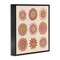 Stupell Industries Boho Solar Faces Framed Giclee, design by Two If By Sea Studios